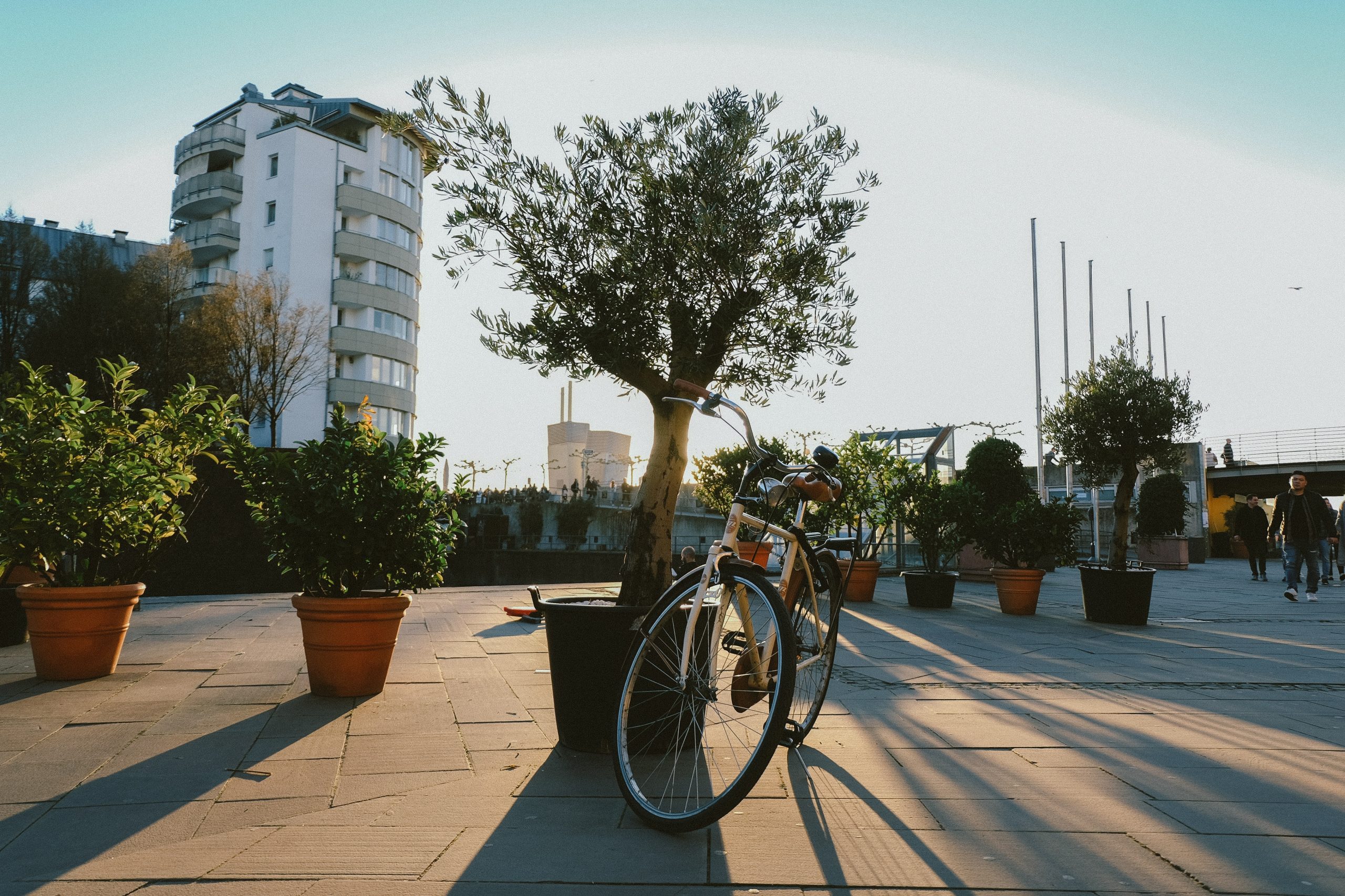 Lire la suite à propos de l’article Vélo Détente