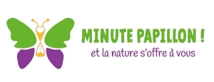 Lire la suite à propos de l’article Association « Minute Papillon »